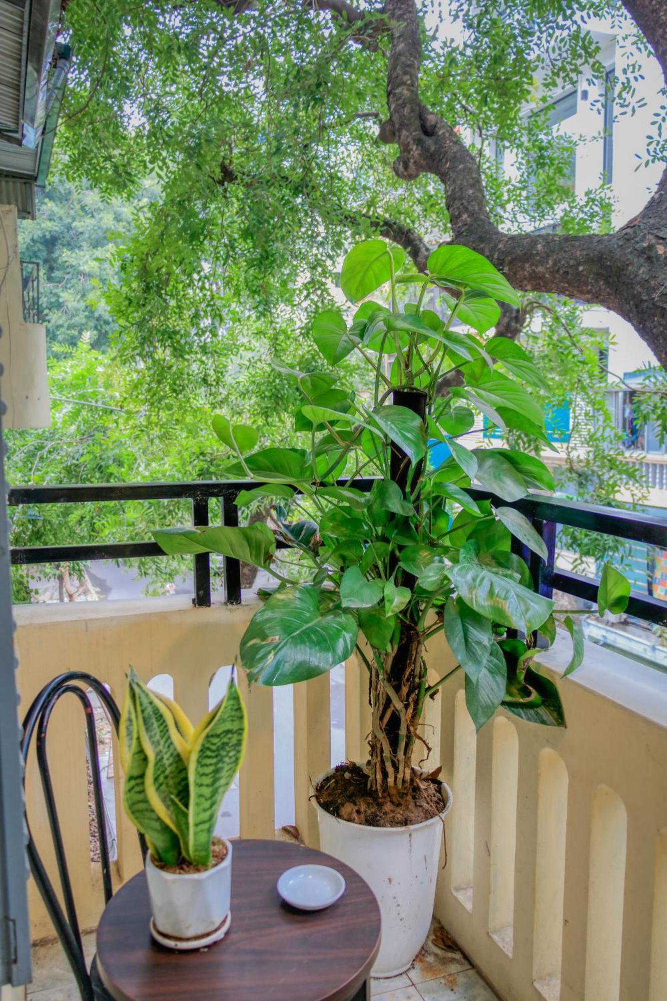 Hanoi Family Homestay Exterior foto